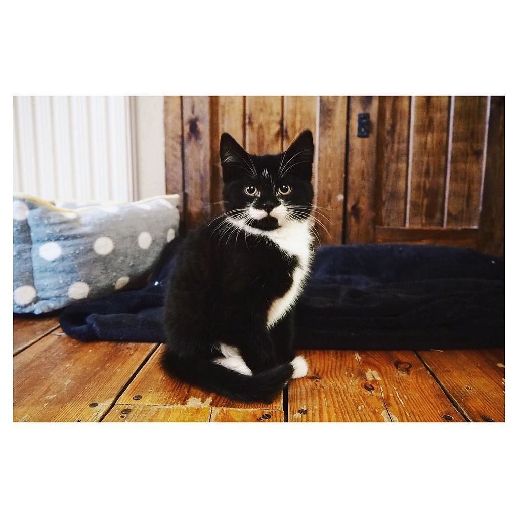 FEB REUNION ✌🏼 ift.tt/2kJsobT