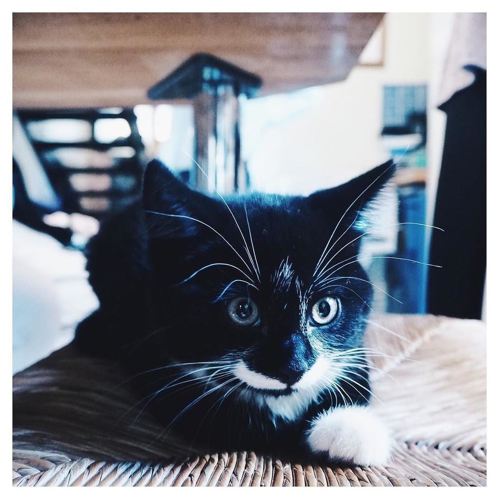 FEB REUNION ✌🏼 ift.tt/2kJA2CL