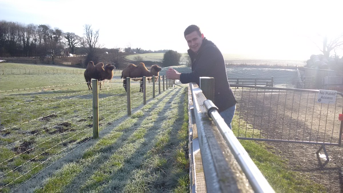 Mossy's Original (@mossysoriginal) on Twitter photo Here in #NorthYorkshire this morning at <a href="/Mainsgill_Farm/">Mainsgill Farm Shop</a> and yes. They have Camels! #MossyOnTour Here in #NorthYorkshire this morning at <a href="/Mainsgill_Farm/">Mainsgill Farm Shop</a> and yes. They have Camels! #MossyOnTour