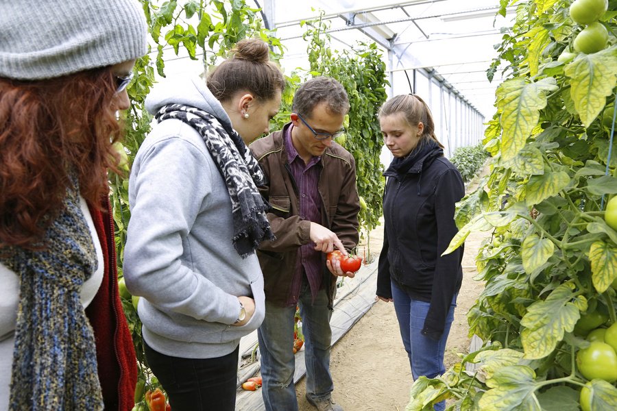 Europe en NPdC tweet media