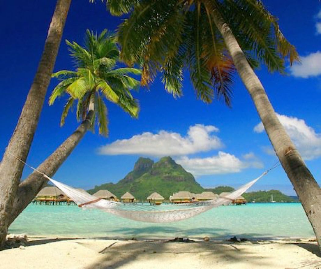 LuxuryTravel77 tweet picture