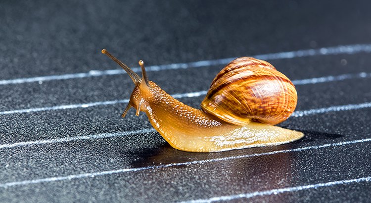 VIPproperty's tweet image. Lack of Homes for Sale Slowing Down the Housing Market dlvr.it/NJHSd0