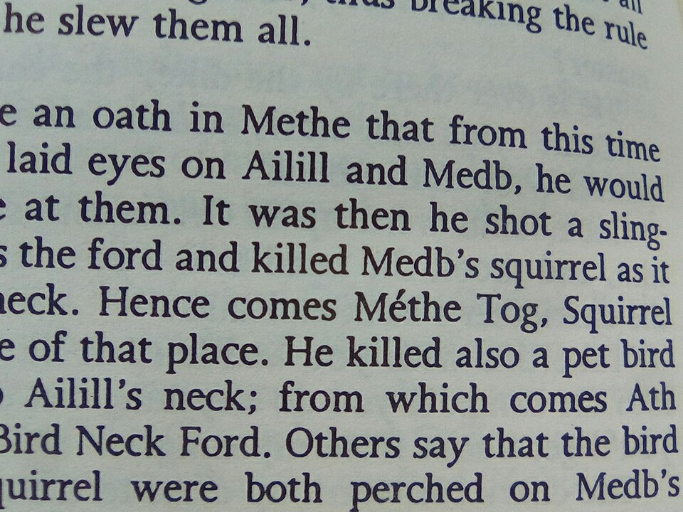 xFaeryCaster's tweet image. // Y Cú mató a su ardillita :(((( ¡normal que le odiase!!