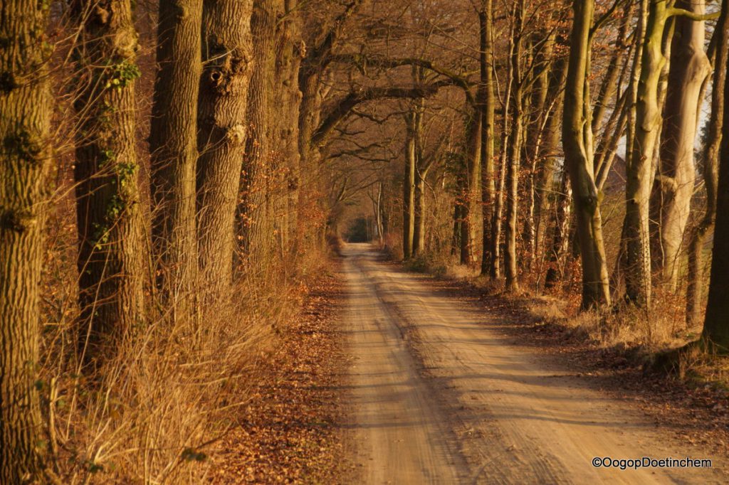 Lovinkweg oogopdoetinchem.nl/2017/02/06/lov…