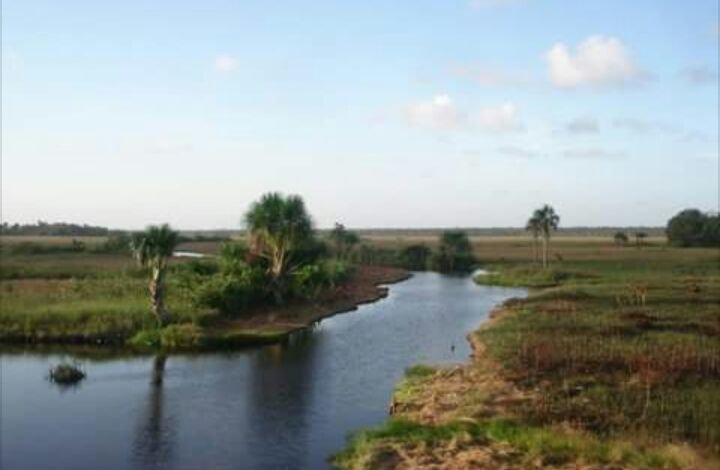 Venesequiba's tweet photo. Conoce el río #Moruca. Un riachuelo al norte del #Esequibo https://t.co/PrbUtSXk2W