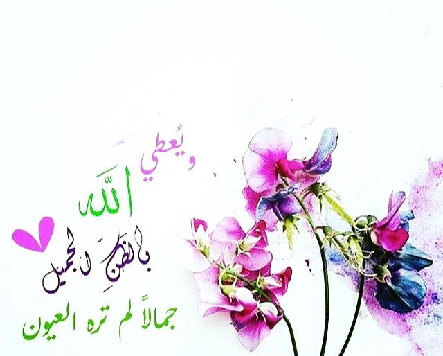 souad.gd (@souad_gd) on Twitter photo 