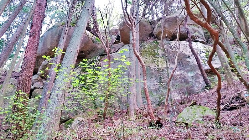 kenbunblog's tweet photo. 兵庫県神戸市の六甲山にある六甲比命大善神（ろっこうひめだいぜんのかみ）です。六甲比命神社の御神体であり、六甲山に点在する巨岩の中でも最も巨大で荘厳なものとなっています。 https://t.co/3QYMSit9mU https://t.co/VizGNWlOCk