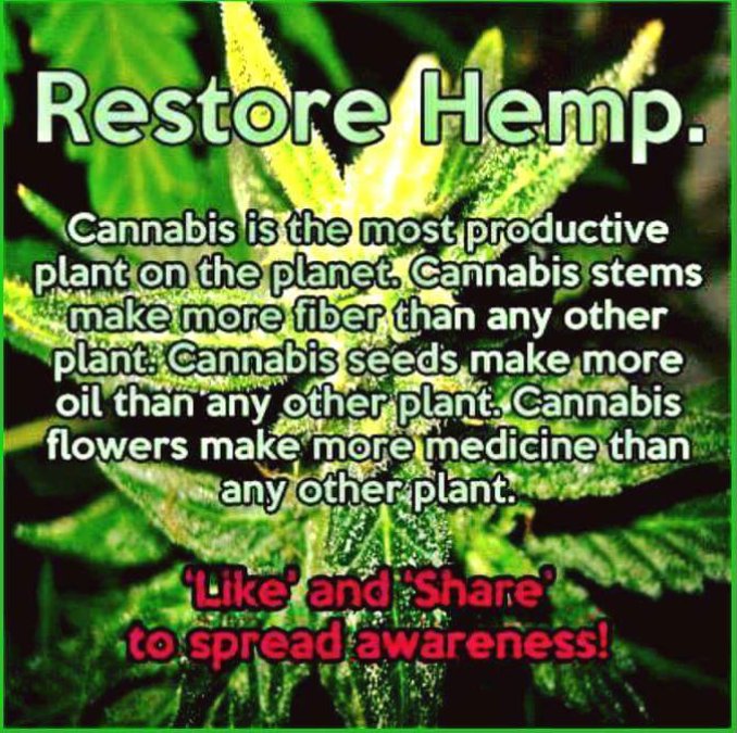 HempHelps's tweet image. Restore #Hemp retweet to spread awareness!