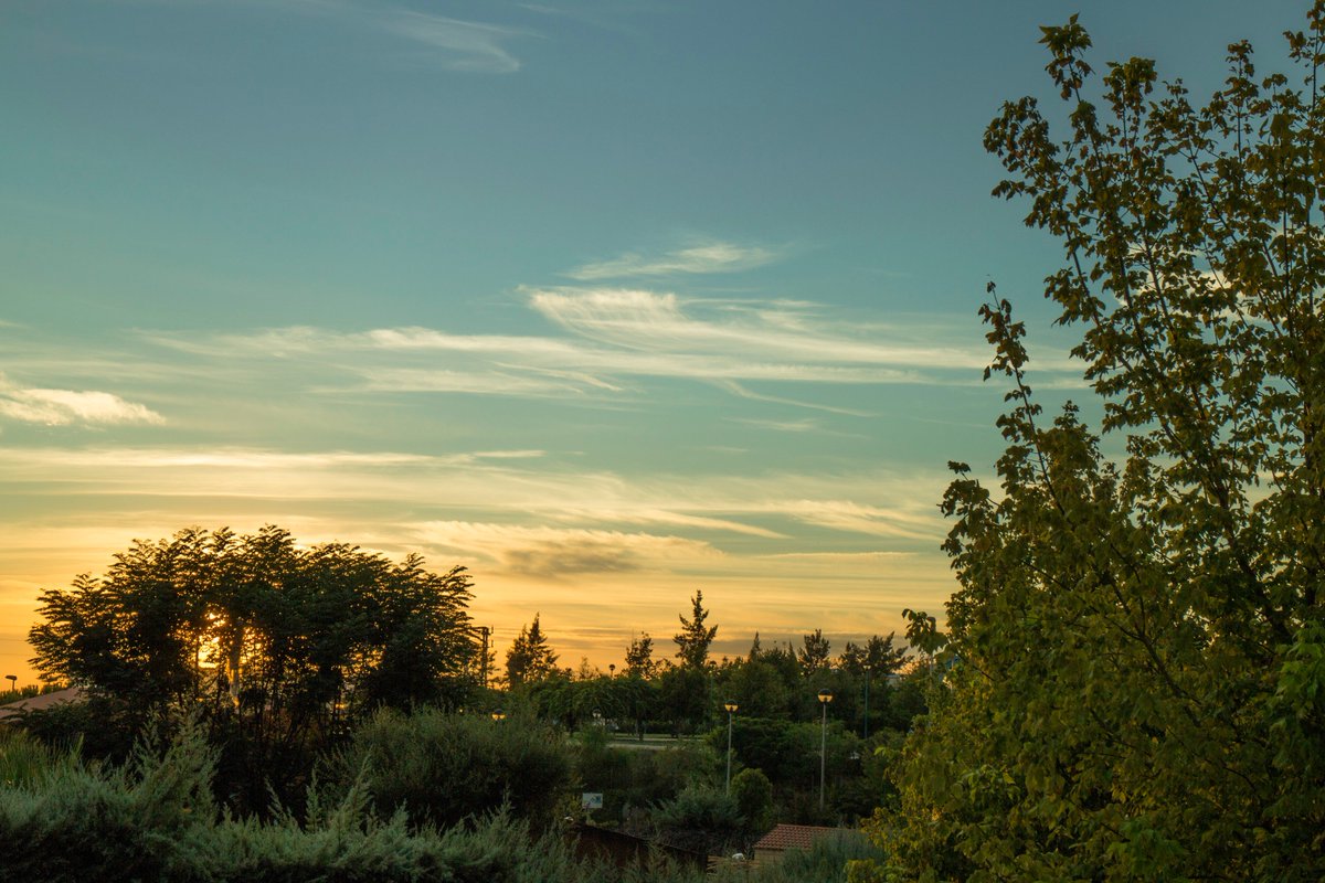 Cristina López Hara tweet media