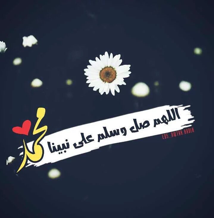 Zz___32's tweet photo. #ميشان_لسعاده_عنوان
#الذوق_ندوش100K_ndosh
#صمود_90k_متابع
#روح_الوفاء
اللهم صل وسلم على نبينا محمد https://t.co/exPu7Serg9