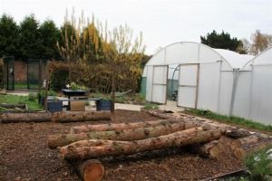 .<a href="/IEinHeatonPark/">EATPenninesGROW</a> Community Orchard is now 97% funded! Every pledge counts to get to 100! bit.ly/2l44dSh <a href="/OurMcrCrowdfund/">OurMcr Crowdfunding</a>  @UK_GGB