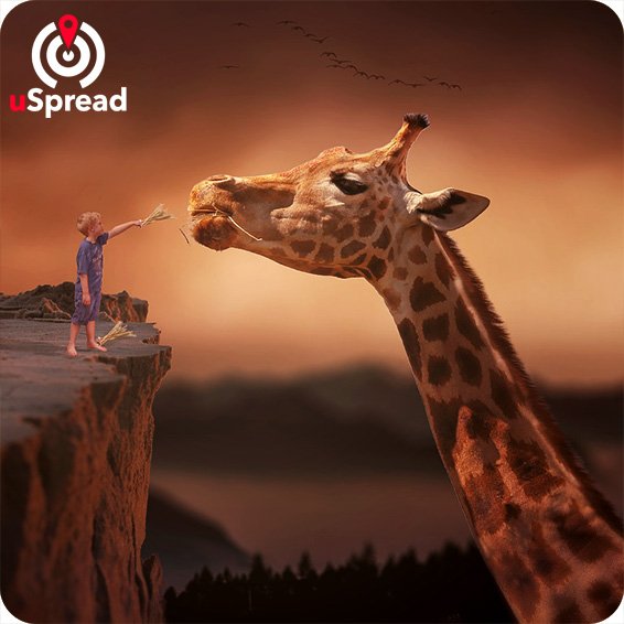 uSpread_'s tweet photo. Do you know Pembrokeshire? Pembrokeshire is a city in the south west of Wales and is home.. https://t.co/hGYW28eGnc #giraffe #pembrokeshire https://t.co/UfDrLPWcdq