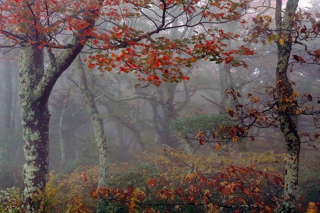 PicPublic's tweet image. 