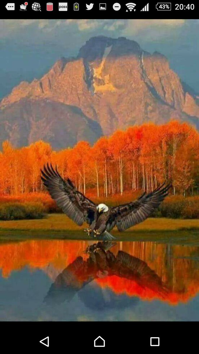 <a href="/MriaMitterer/">Mária Mitterer</a>  <a href="/olgalmd/">Olga Muñoz 🇲🇽</a> <a href="/Lot_Salas/">Lot Salas</a> <a href="/Lord_Geward/">Lord Geward</a> <a href="/leia_silva16/">Léia Silva❤</a> <a href="/Mted21/">Mted</a> <a href="/akqwante/">Akqwante Burton</a> <a href="/CU2MRO/">100% #F4F!</a> <a href="/VNagahama/">Viviane Nagahama</a> <a href="/kristicolivera/">Olivera Kristić</a> @AneMeneghine こんばんわ