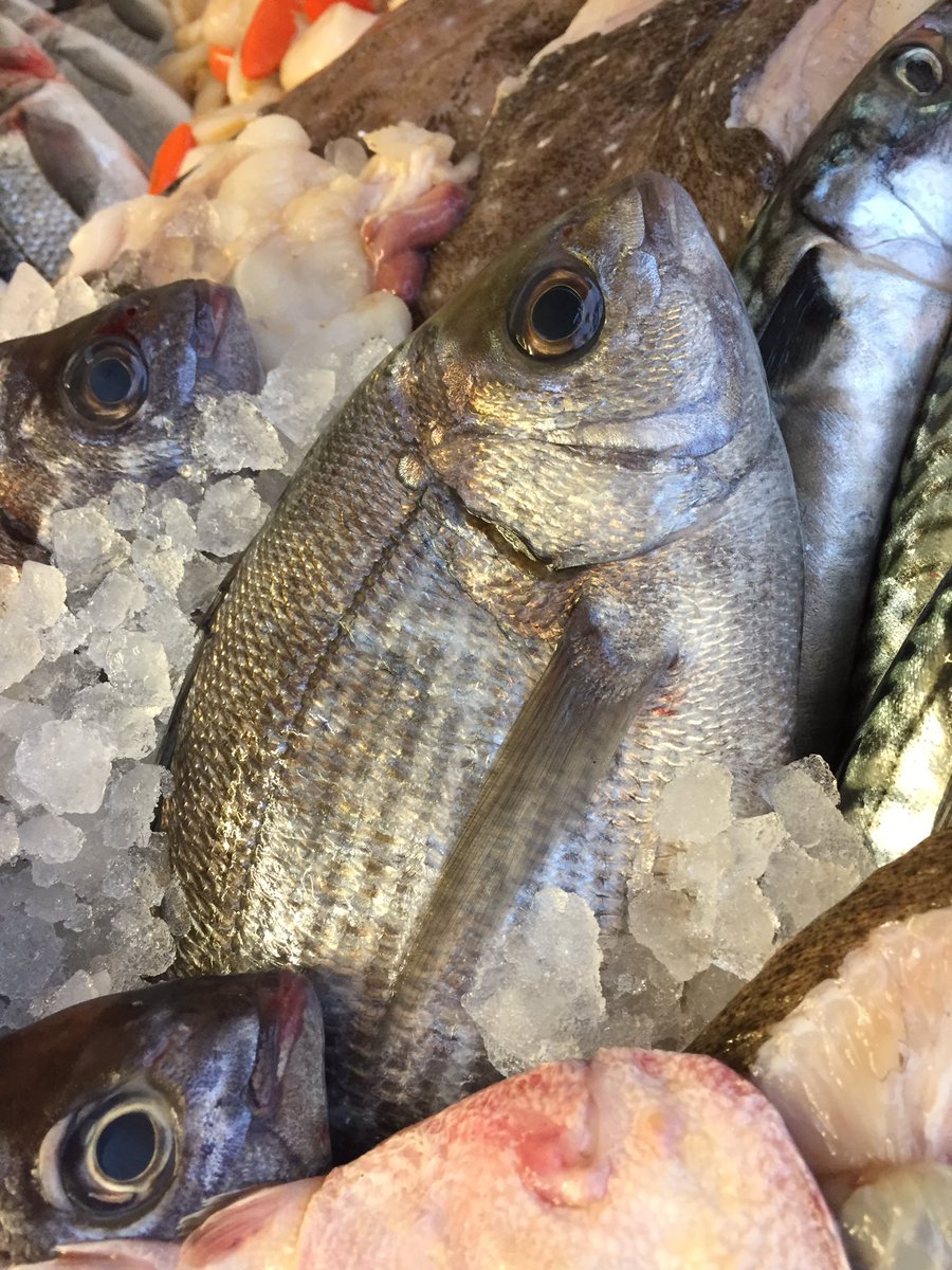 Something Fishy tweet media