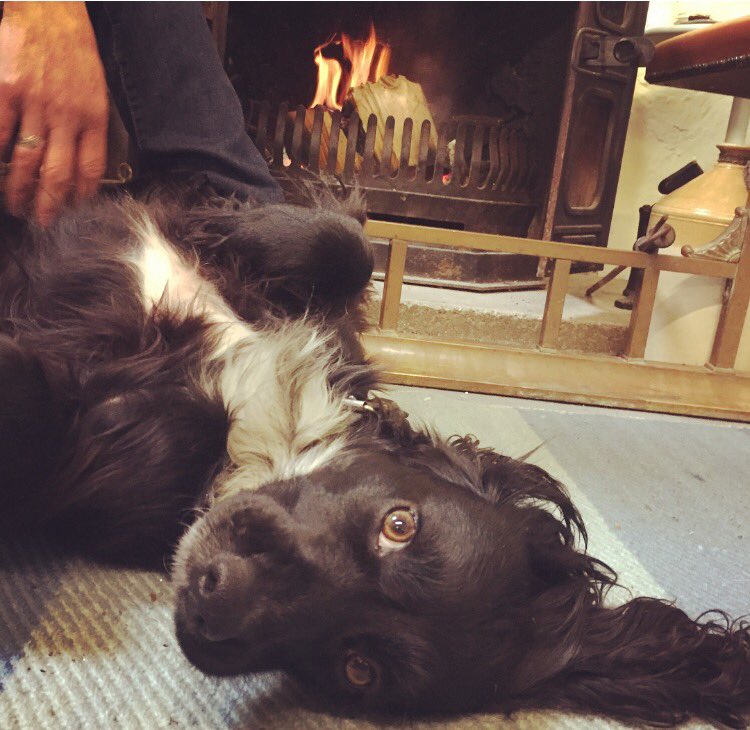 The Old Stables tweet media