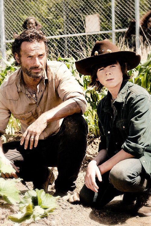 zonawalkerbr's tweet photo. Bom Dia Walkers &amp; Sobreviventes!!! https://t.co/WB4tzv41JF