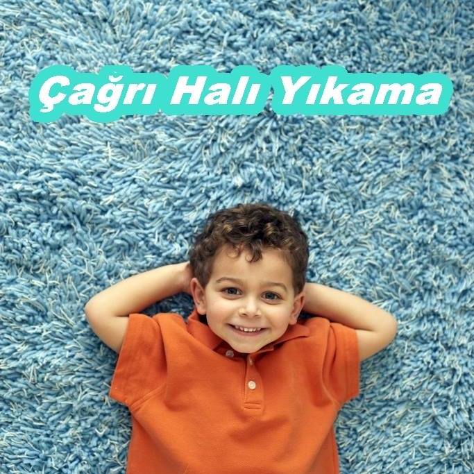C M D Cagri Hali Yikama Goldsektor Com