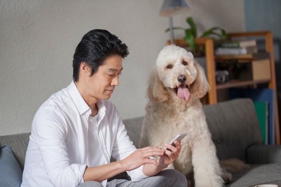 つる アクサダイレクトのcm 堤真一と犬 可愛い T Co Gbnljiyhq7 Twitter