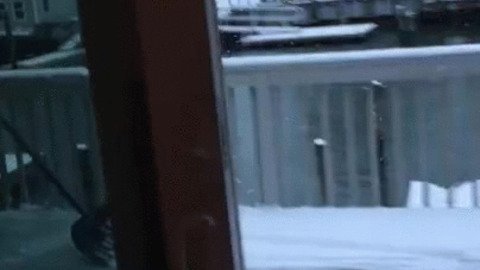 FRGeekUnivers's tweet photo. Pratique pour déneiger l'hiver 😅 👌
Disponible ici  https://t.co/KoRefLDXNw
#geek #hoverboard #hiver #neige #fun https://t.co/QCJaMDr6QT https://t.co/w6CrEFBaiT