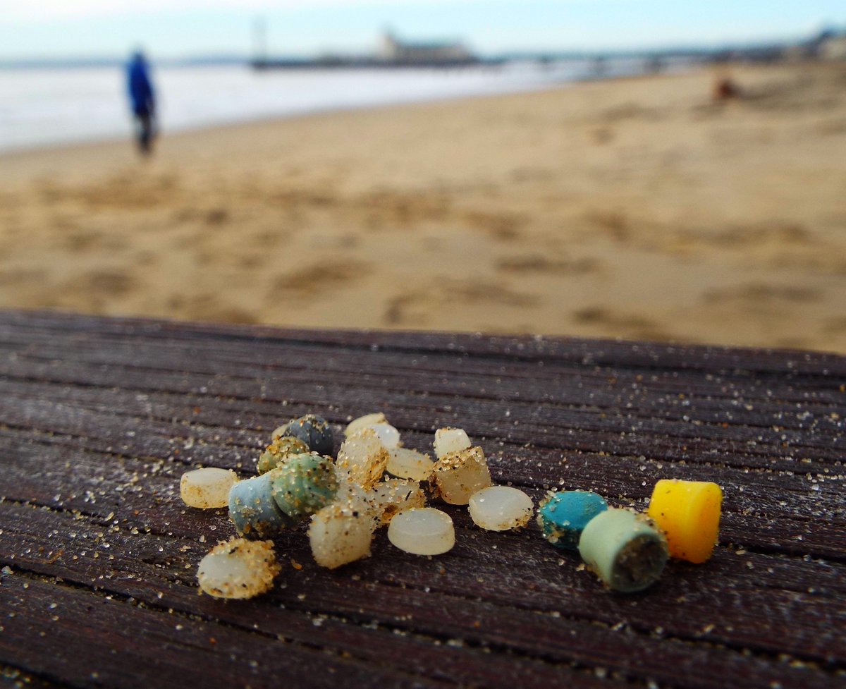 Seasaver's tweet photo. 30min #NurdleHunt this morning on Bournemouth beach. #pollution #plastics @greatnurdler https://t.co/OjirUSK45c