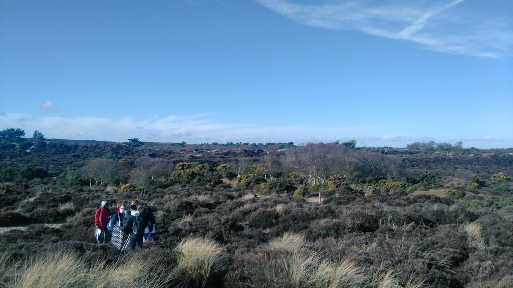 LeesonHouse's tweet photo. @DWS_Geog students looking at #plantsuccession as an indicator of sediment storage in sand dunes #oldharryrocks @ilovestudland https://t.co/yiMp2tLNPQ