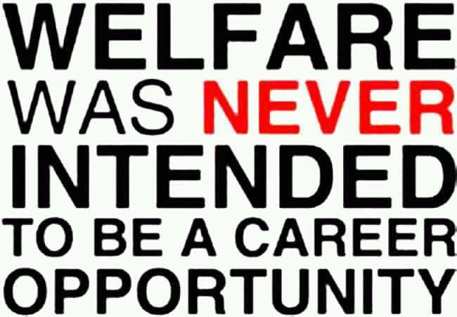 MrsssTrump's tweet photo. @ToiletInthe @pastorbones #buttplugbiggs I am not the one with my hand out. Get your pervy hand out of my pocket welfare scum! #infowars https://t.co/o3hJ6LudL3