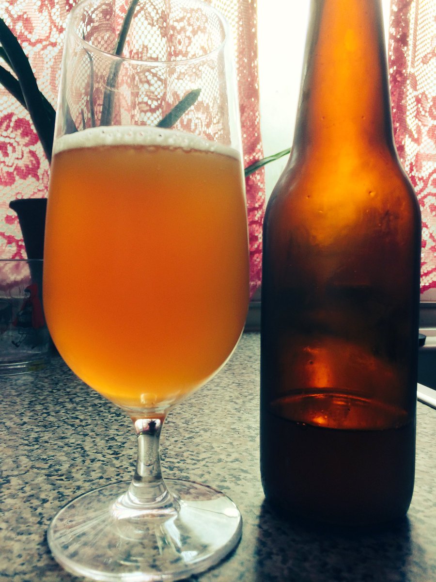 BrewsWillis's tweet photo. First opening of our pale ale using the mysterious G75 hop. Not bad. Similar to centennial #hops #homebrew #paleale https://t.co/mAdknn1F5J