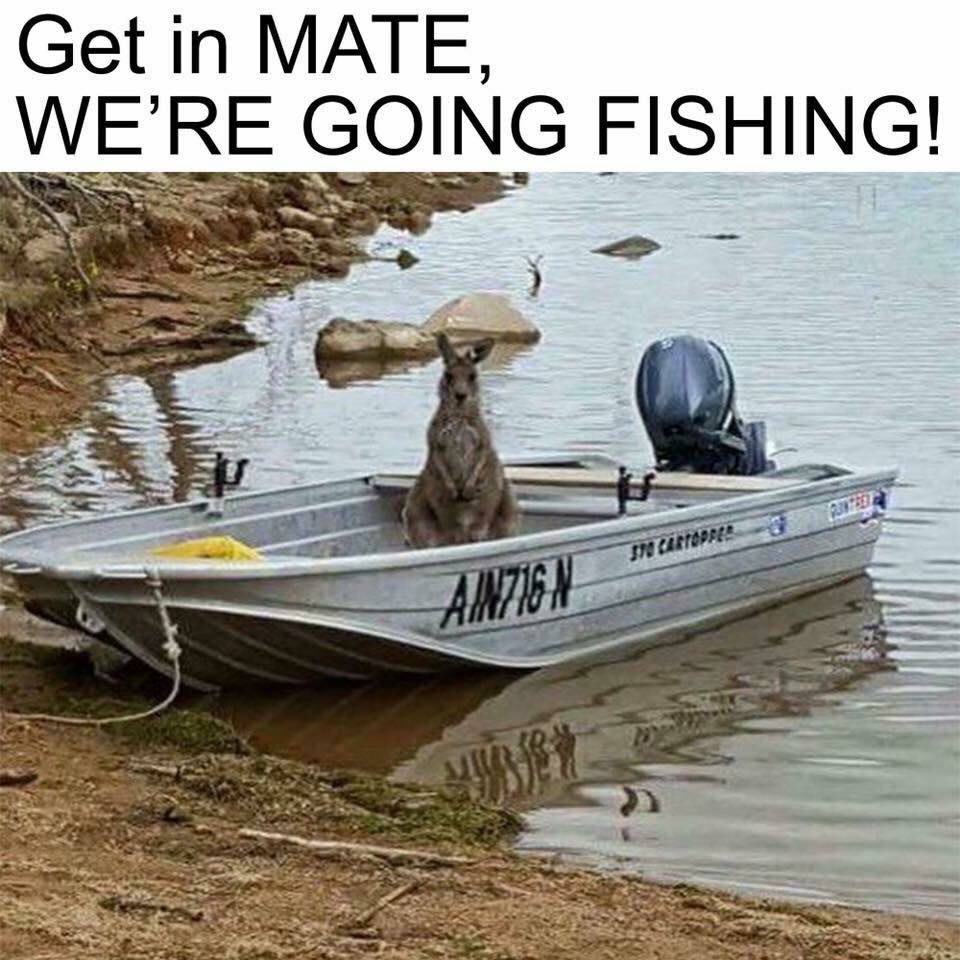 EsfSports's tweet photo. #Australia #fishing https://t.co/oMBedUoSbG