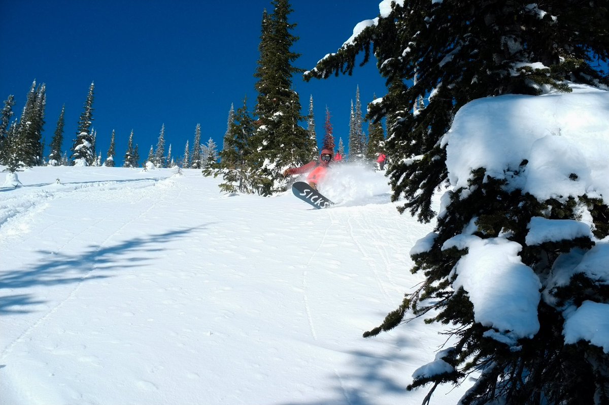Salomonsnow's tweet photo. Post your best pow-slash on Insta, tag us+#sickersickdays and you could win a new #SickStick 2/12! R:NilsM p:AmiV https://t.co/LiTS3sPTcP