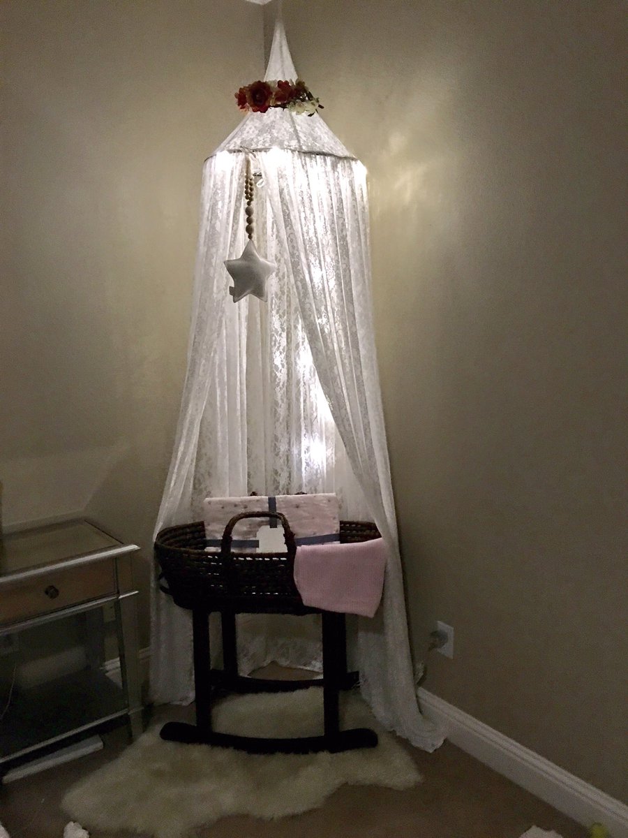 princess moses basket