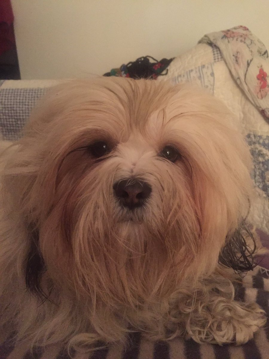 darcydoodledoo's tweet photo. I have EYES! https://t.co/lKDqHsUvzB