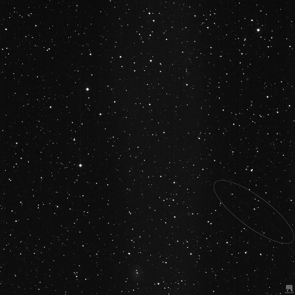 SPACEdotcom's tweet photo. Newly Discovered Bus-Size Asteroid Zips Harmlessly by Earth (Video) https://t.co/XE3vwwo8GX https://t.co/4zjPVTXuwz