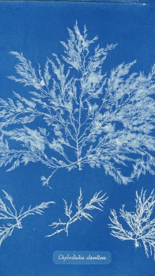 AndySpence's tweet image. Future of Work and Organisations Magazine buff.ly/2kLaZjB #FutureOfWork #OrgDev #Leadership