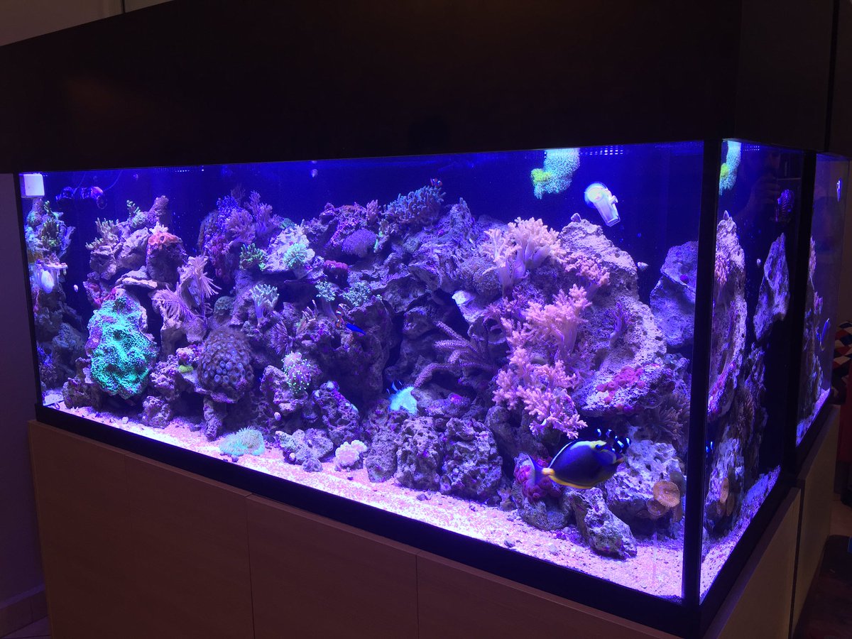 androaquatech's tweet image. New lights