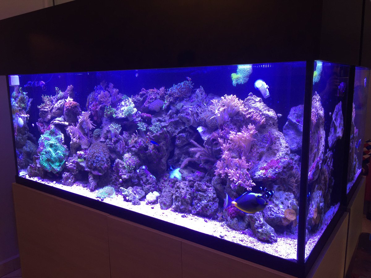 androaquatech's tweet image. New lights