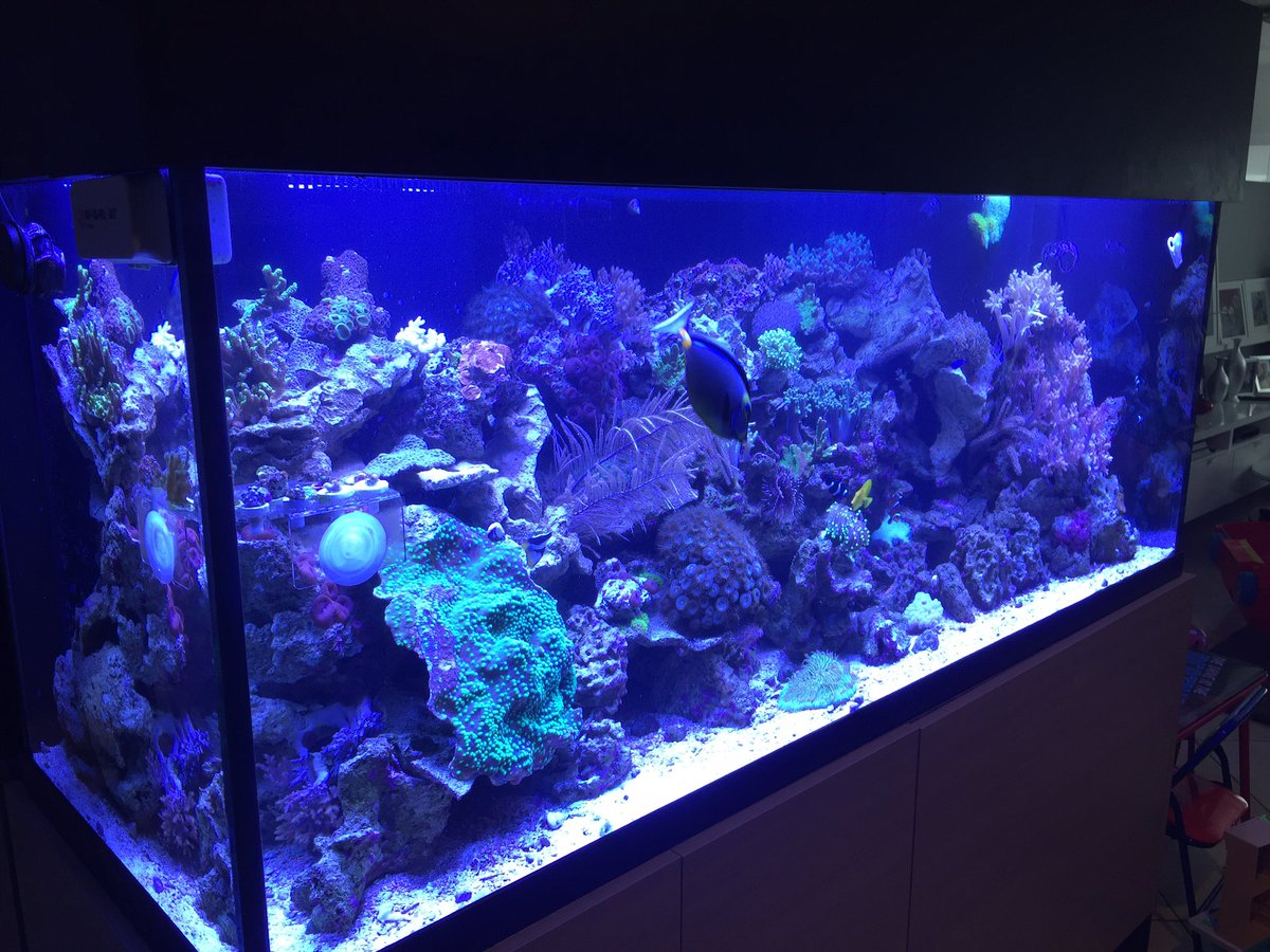 androaquatech's tweet image. New lights