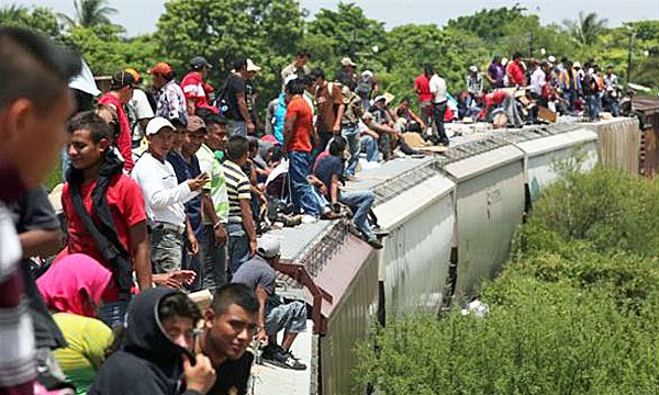 jtd_gameon12's tweet photo. Remember all those judges rushing to overturning Obama's Executive Orders allowing in all those illegal unvetted immigrants? ..Me neither‼️ https://t.co/O97qTSC31k