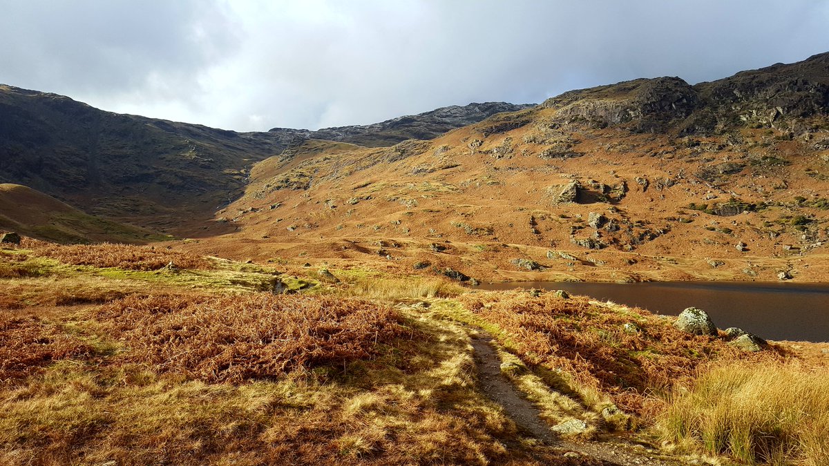 dan_h_b's tweet photo. Brilliant day exploring Easedale tarn and codale tarn in the #LakeDistrict. #GetOutside #NotJustLakes #Cumbria https://t.co/aDkBxjicwv