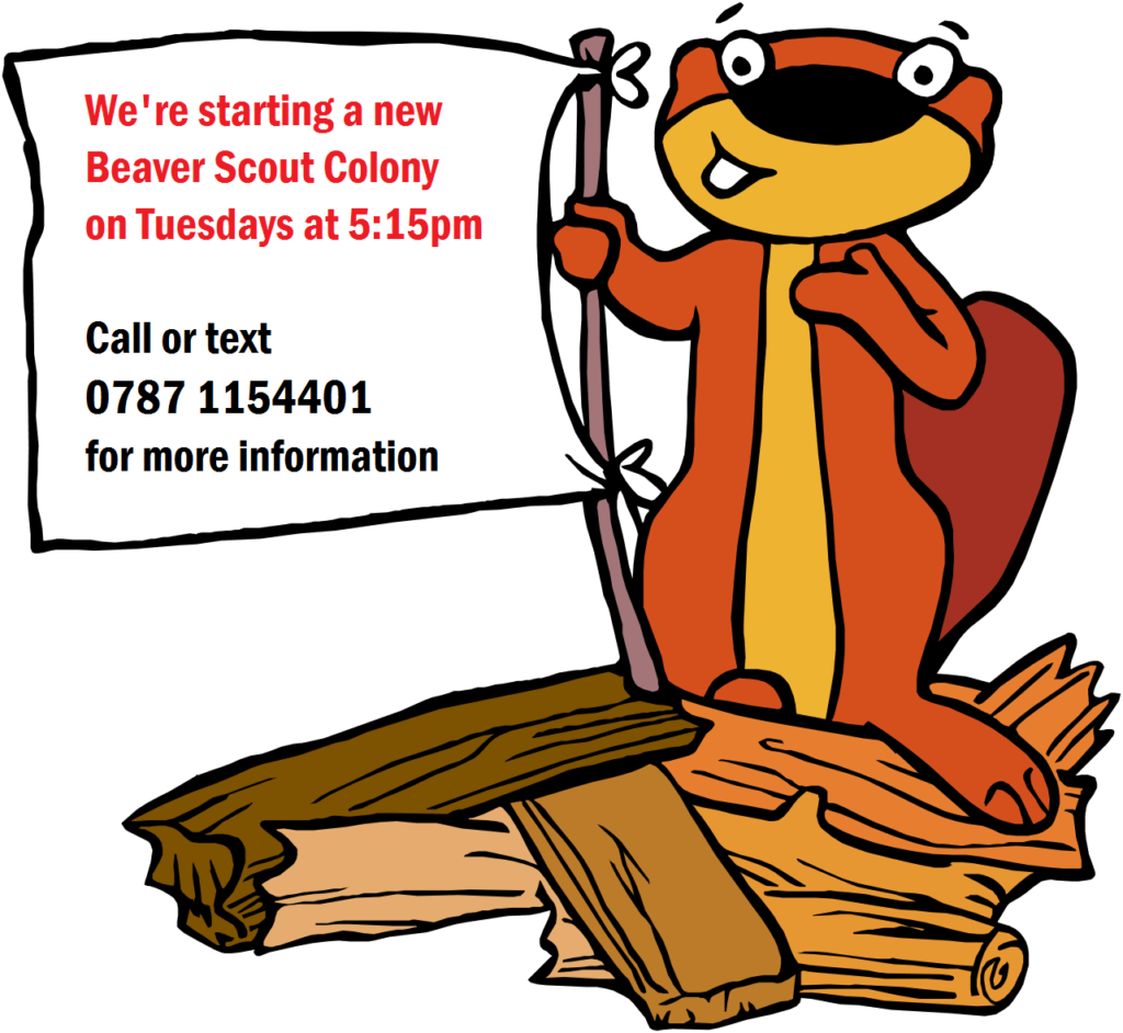 7thSwansea's tweet photo. Spread the word - our new Beaver Scout Colony is opening 7th March 2017 ! Contact us to find how to get involved ! @scoutscymruds @GWScouts https://t.co/Olo3956rTR