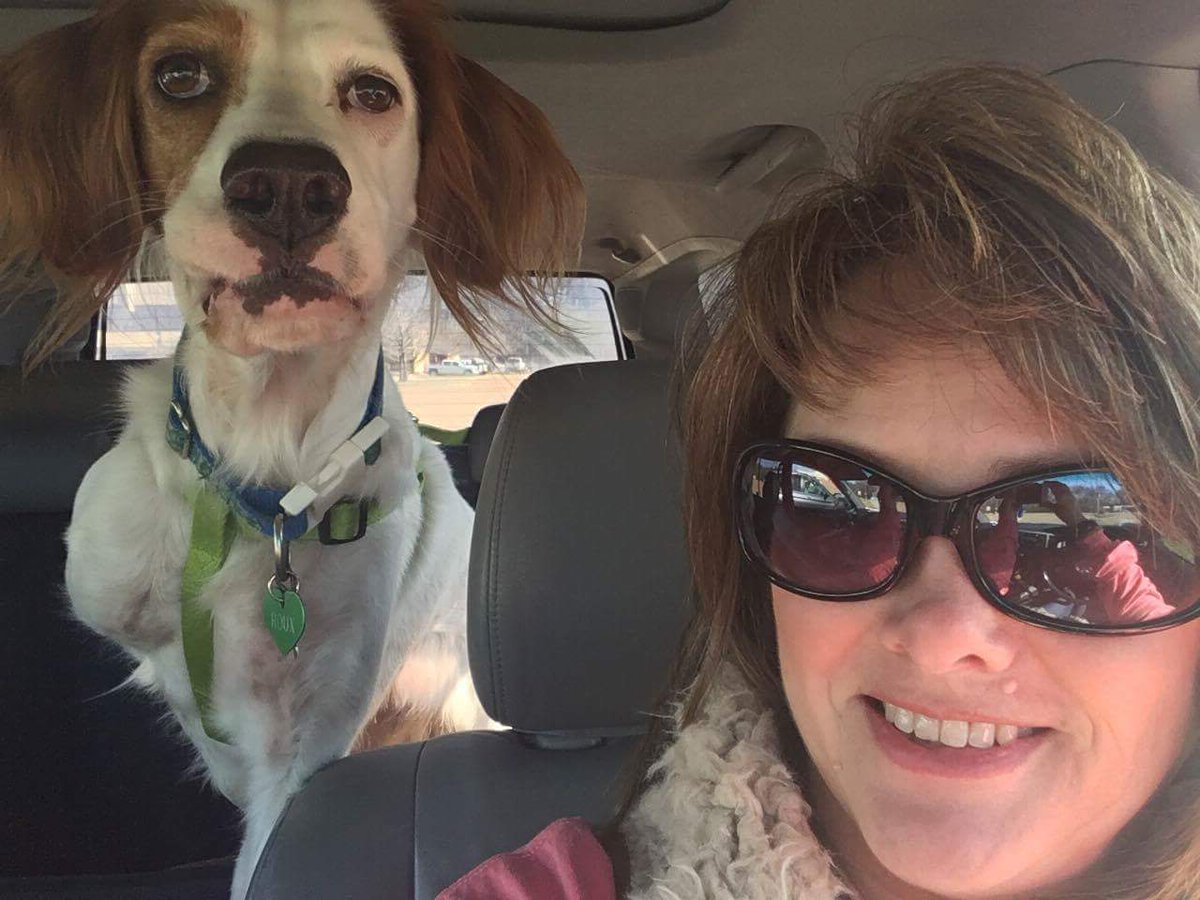 OurESRescue's tweet photo. Several kiddos coming soon.. #busycoupleofweeks #transportersrock #loveourawesomefosterhomes https://t.co/qgSRkp34OB