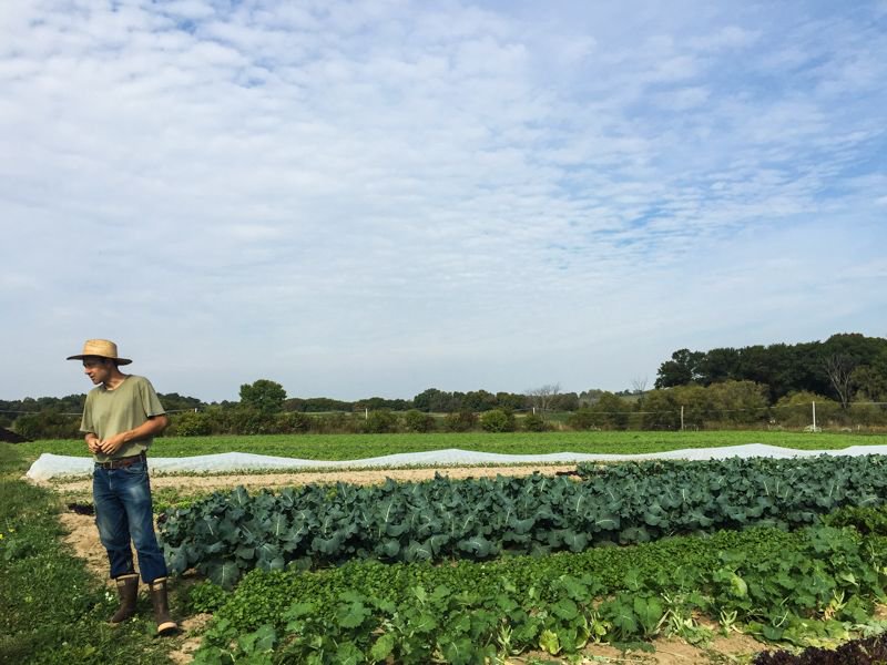 jmdenouden's tweet image. One of my fave ways to enjoy food --&amp;gt; Farm To Table Goodness in Decorah, Iowa @debthompson buff.ly/2kS6K5O @visitdecorah