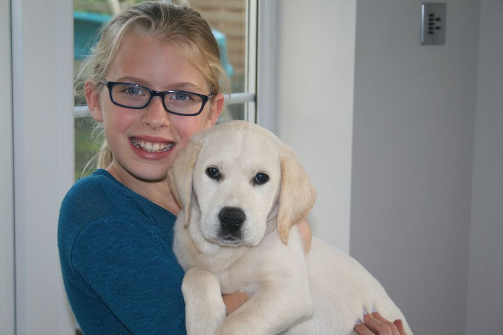 DogsForGoodUK's tweet photo. Have you seen our Junior Puppy Sponsors programme? https://t.co/TosH2xNM8s #Charity #GivingGift https://t.co/T88mZycKWG