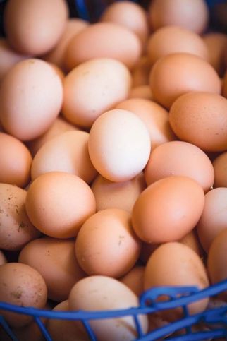 ElliesProvi's tweet photo. Meet today's #FeaturedFarm of the day: Baffoni's Poultry Farm in Johnston, RI! #locallove https://t.co/f3SzineZjR https://t.co/p6MepBDp1K