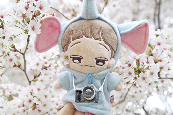 [SG GO]
<a href="/babyddundae/">뚠대</a> DOLL
Closing 7th February
Slots filled: 1
Details: bit.ly/2kQAxI4