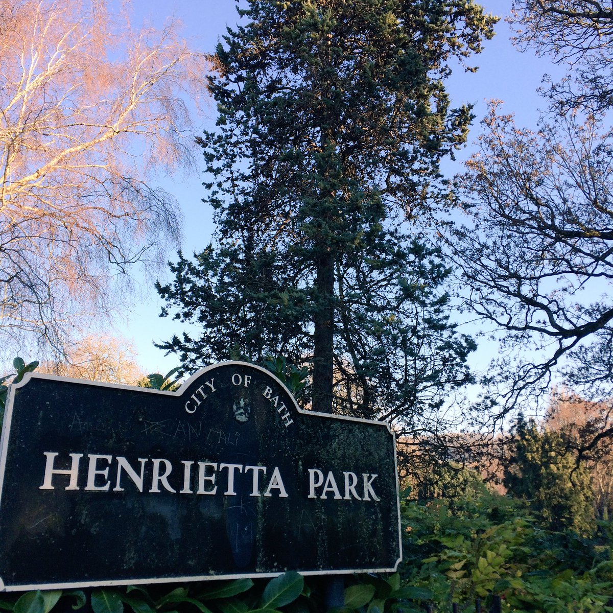 Beautiful day in #henriettapark ☀️ #neighbours #dogparadise #greenspaces #citystays