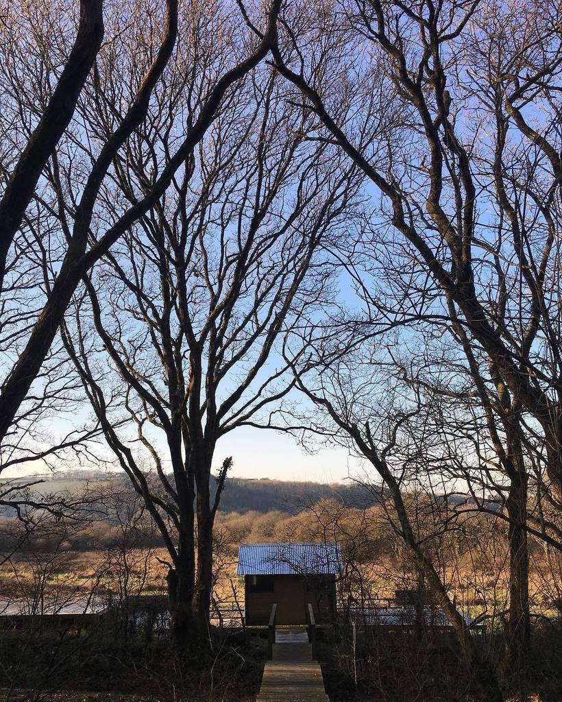 fforestcamp's tweet photo. And then the sun came out and the bird song was so bright .
.
.
#fforest #wintersun #stayp… https://t.co/ZMTcDi7XSI https://t.co/mkw26wC55G