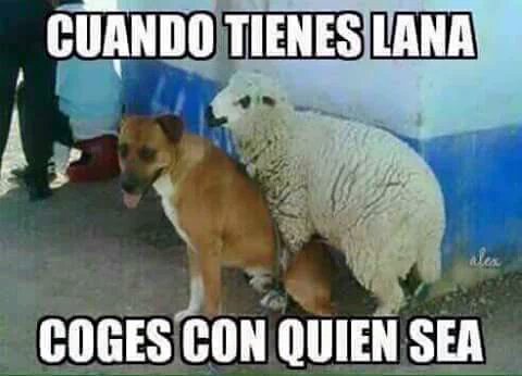 kisinmaya's tweet photo. ¡A wech que sí! https://t.co/EWmy3vzjn3