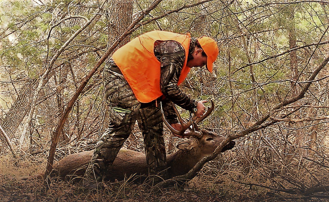 Ani_Logics's tweet photo. Best. Feeling. Ever
#ThereIsNoOffSeason #365Hunter https://t.co/rZf5JAlA4Y