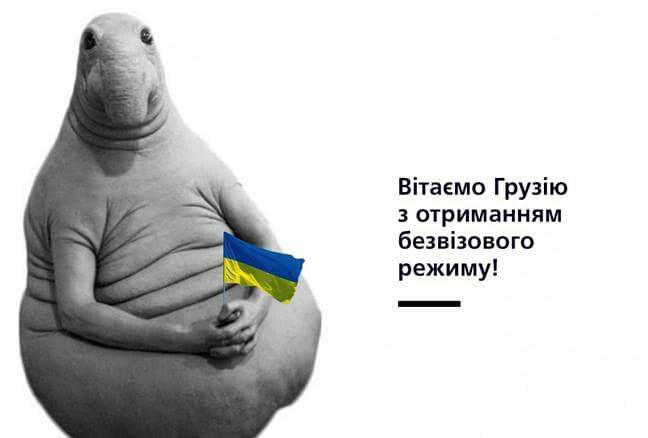 C31He1QWIAEgA_-.jpg:large